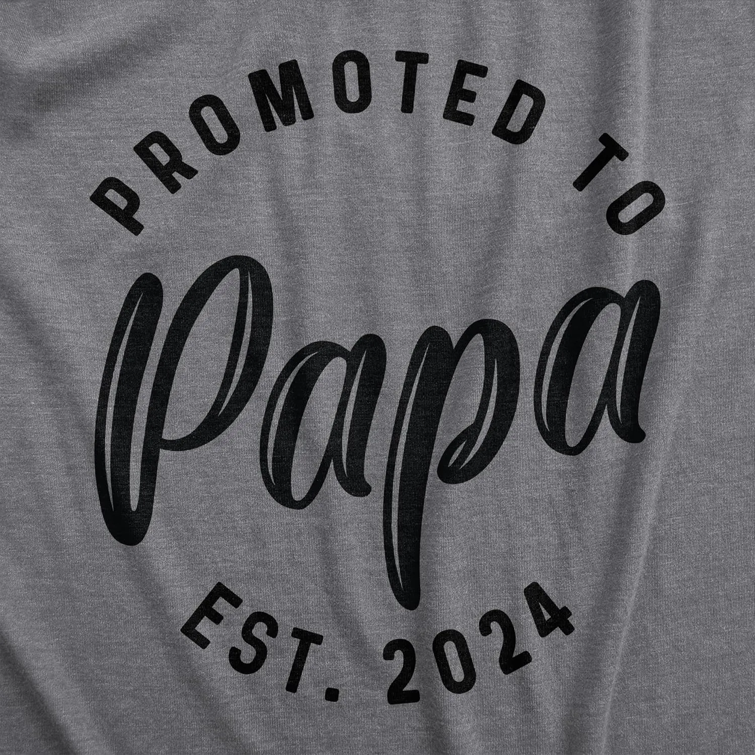 Crazy Dog Mens Shirts Promoted to Papa Grandpa or Uncle 2025 2024 or 2023 Funny Fathers Day Tees